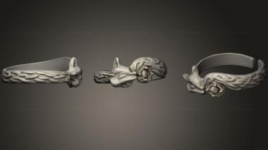 Jewelry rings Ring js300.4 3d model